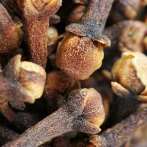 Clove Bud Organic Essential Oil 3